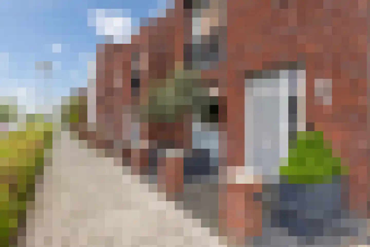 Korrelhoed 32 Apeldoorn thumbnail 36
