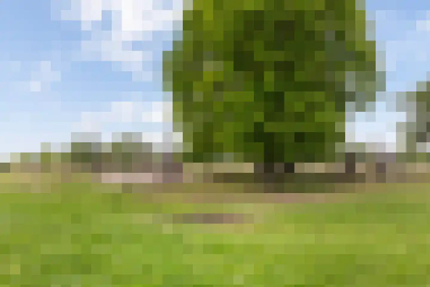 Korrelhoed 32 Apeldoorn thumbnail 37