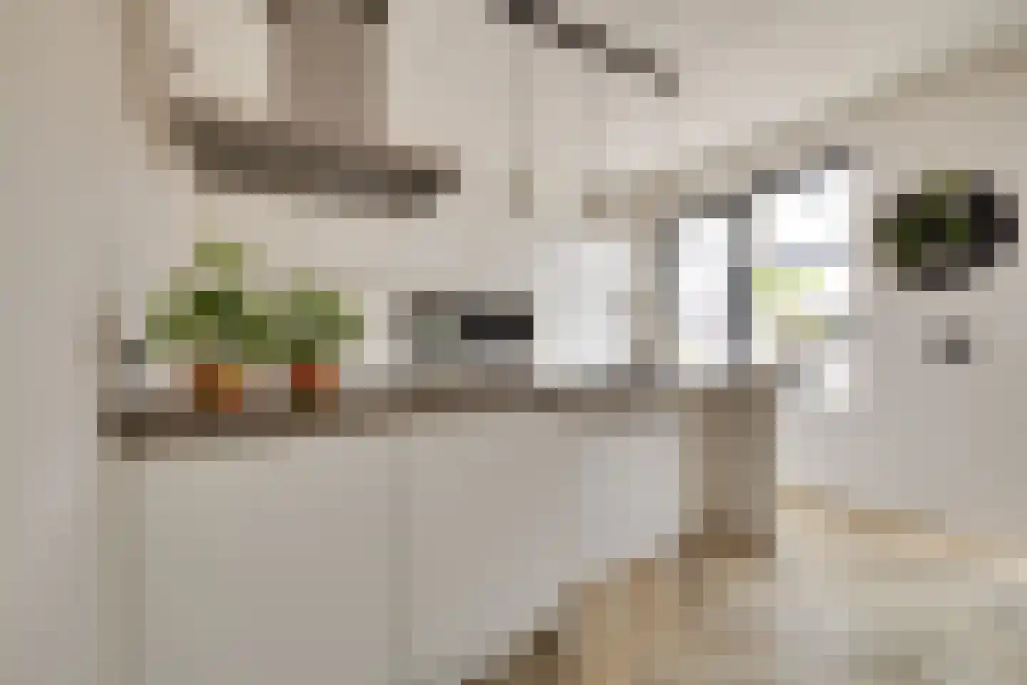 Korrelhoed 4 Apeldoorn thumbnail 10