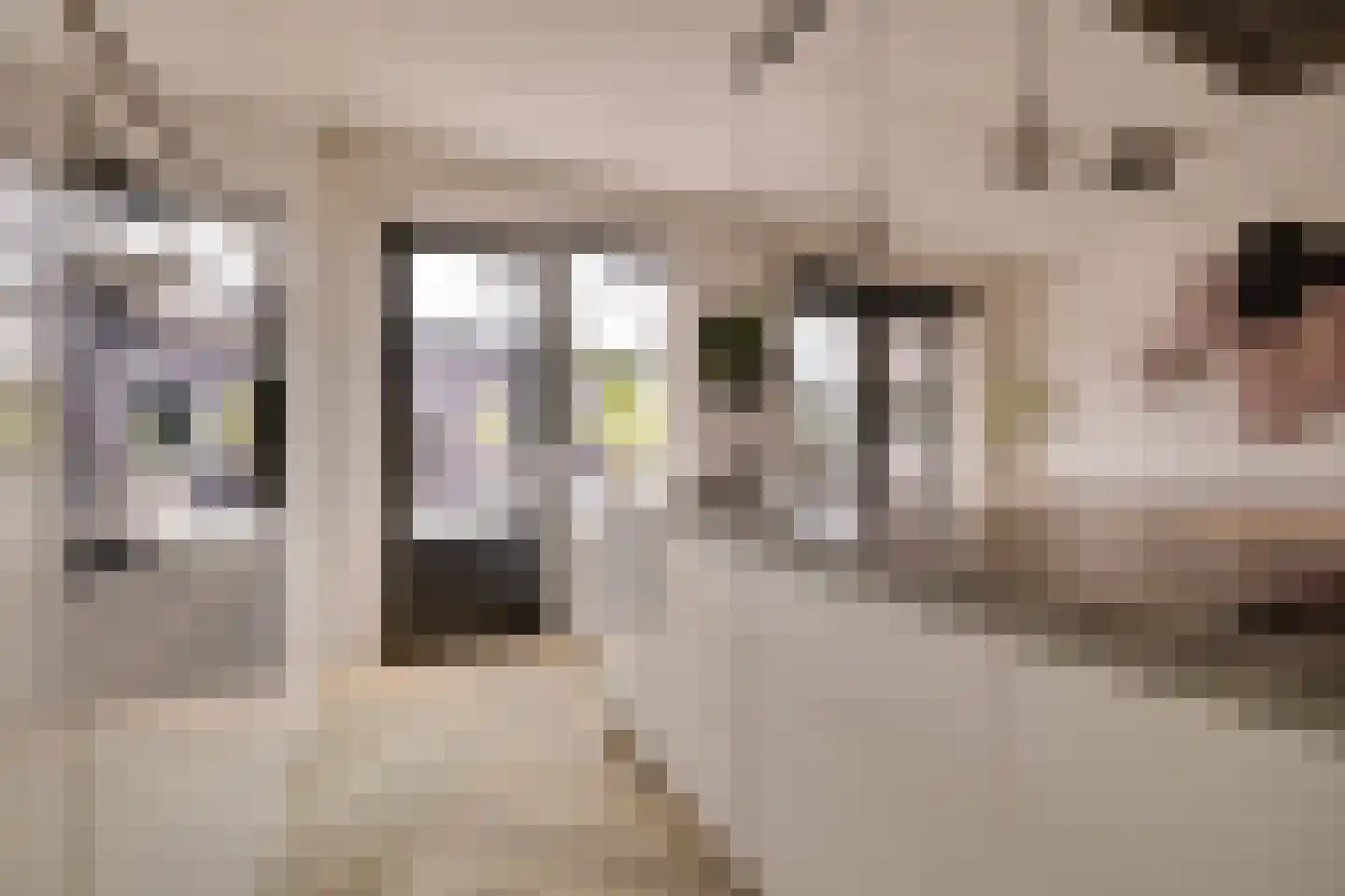Korrelhoed 4 Apeldoorn thumbnail 11