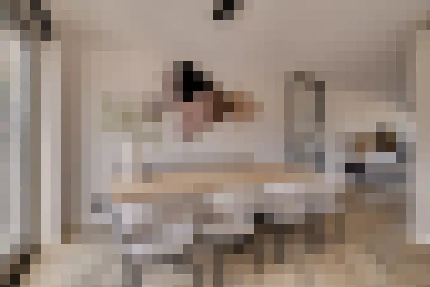 Korrelhoed 4 Apeldoorn thumbnail 13