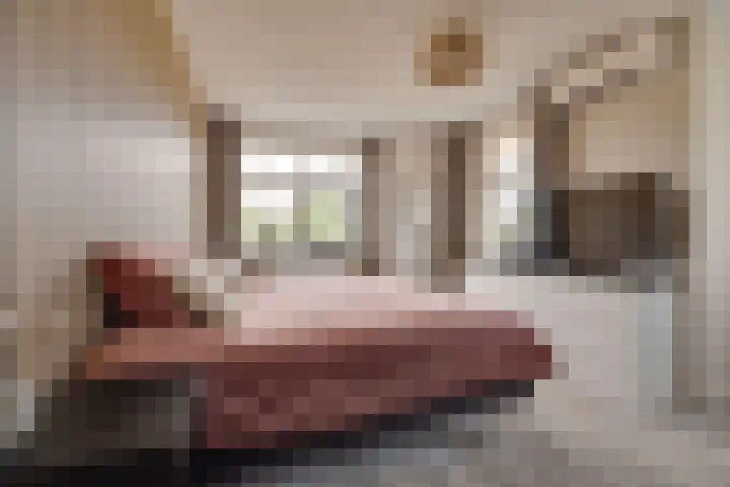 Korrelhoed 4 Apeldoorn thumbnail 16