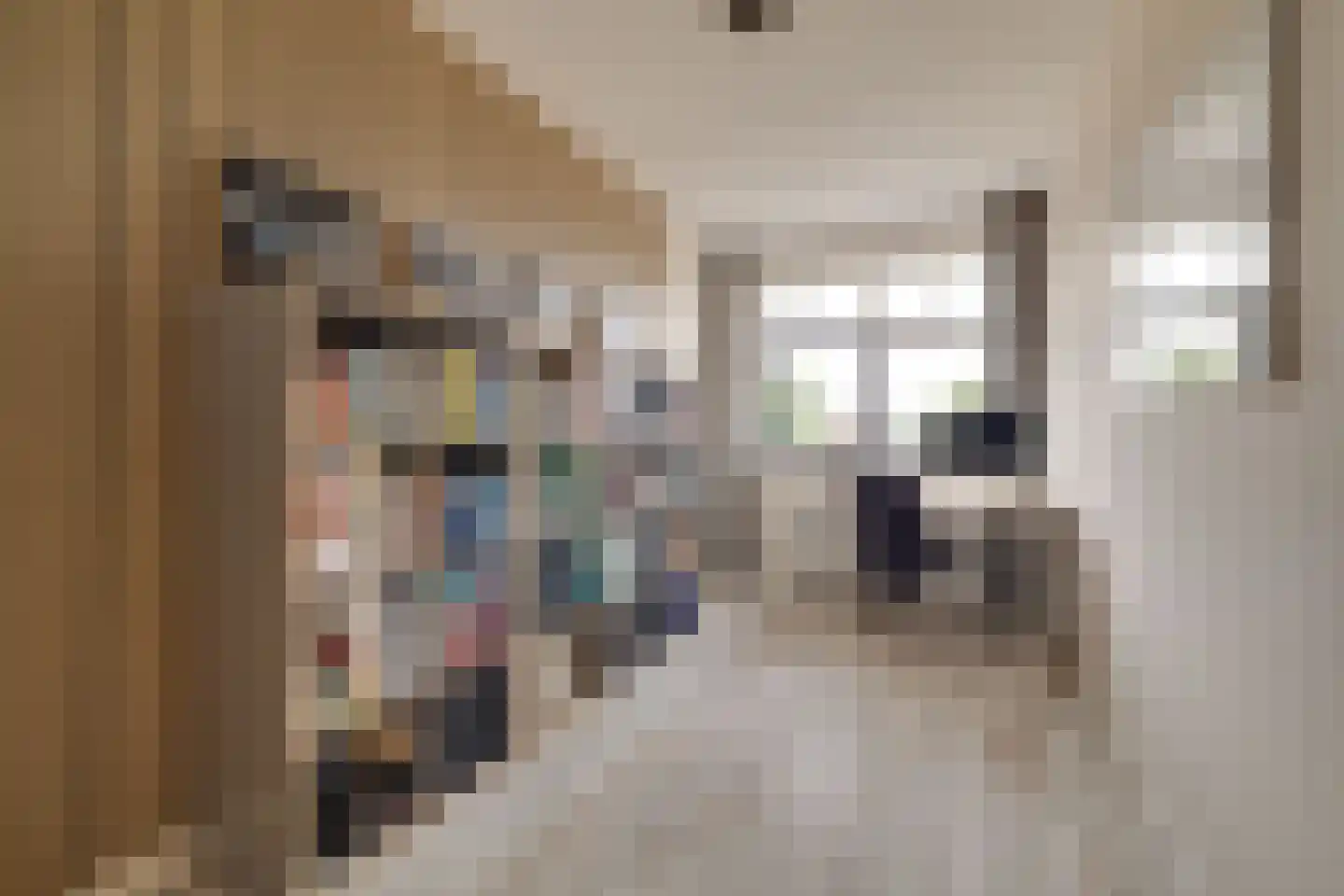 Korrelhoed 4 Apeldoorn thumbnail 22
