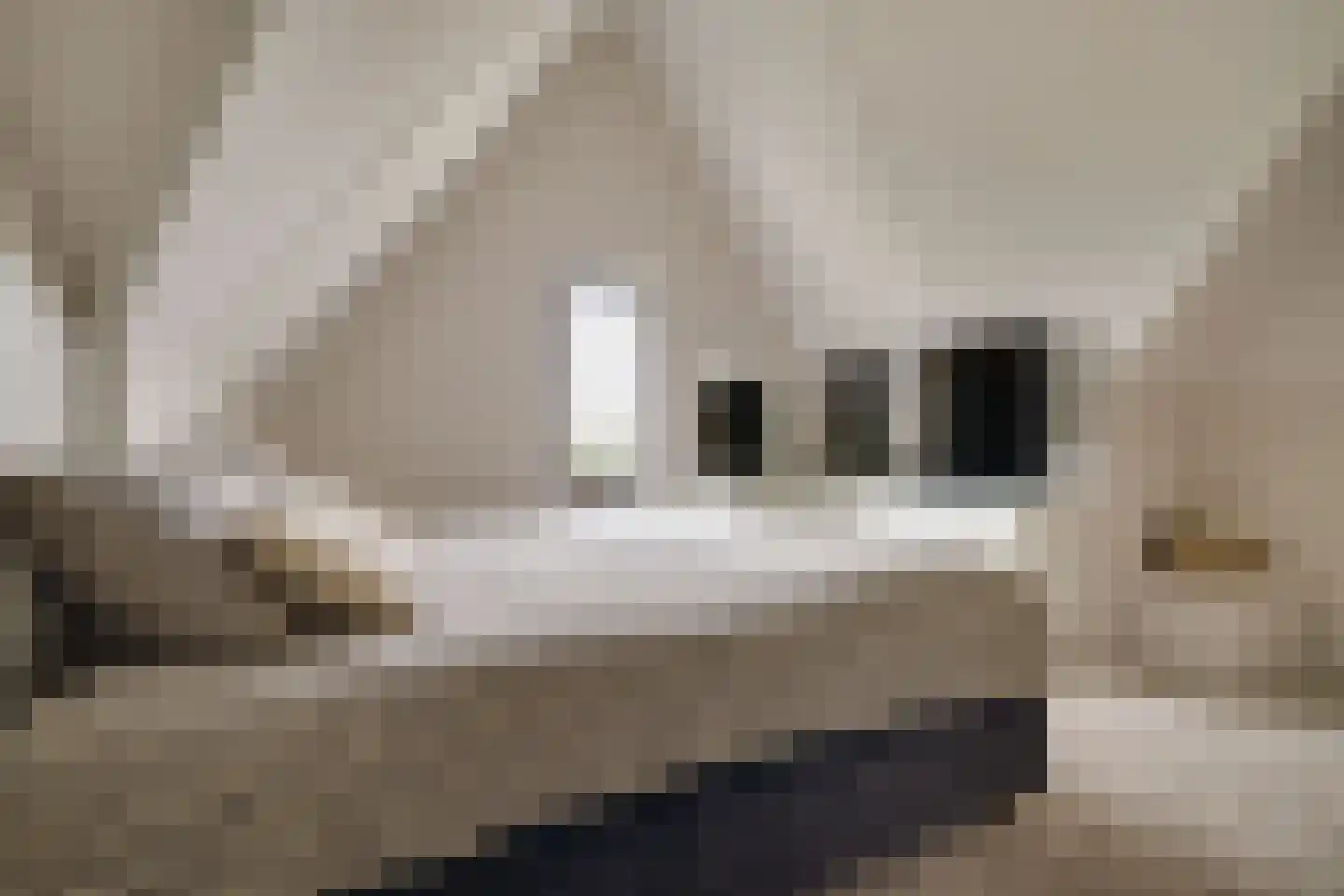 Korrelhoed 4 Apeldoorn thumbnail 32
