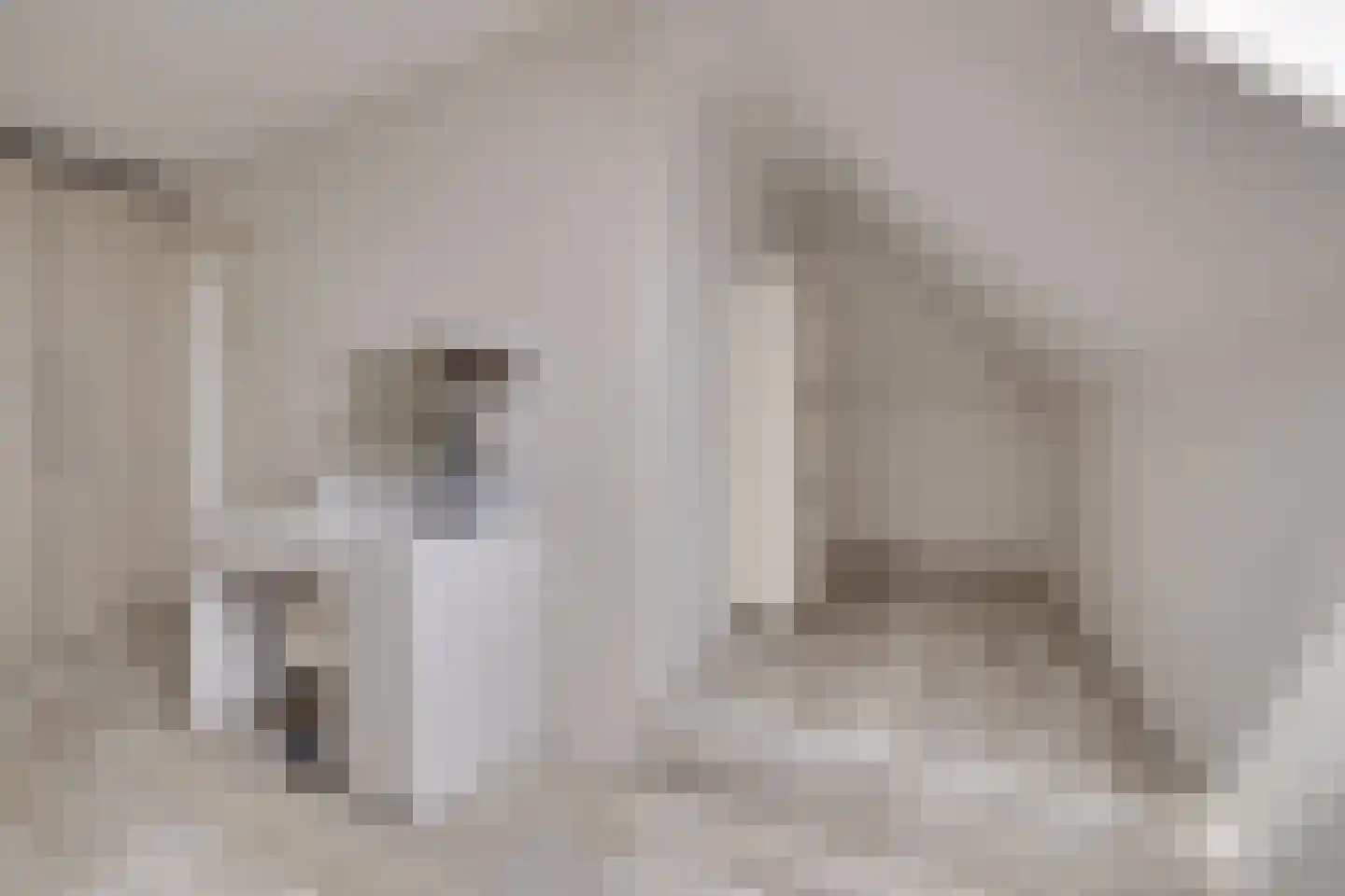 Korrelhoed 4 Apeldoorn thumbnail 35