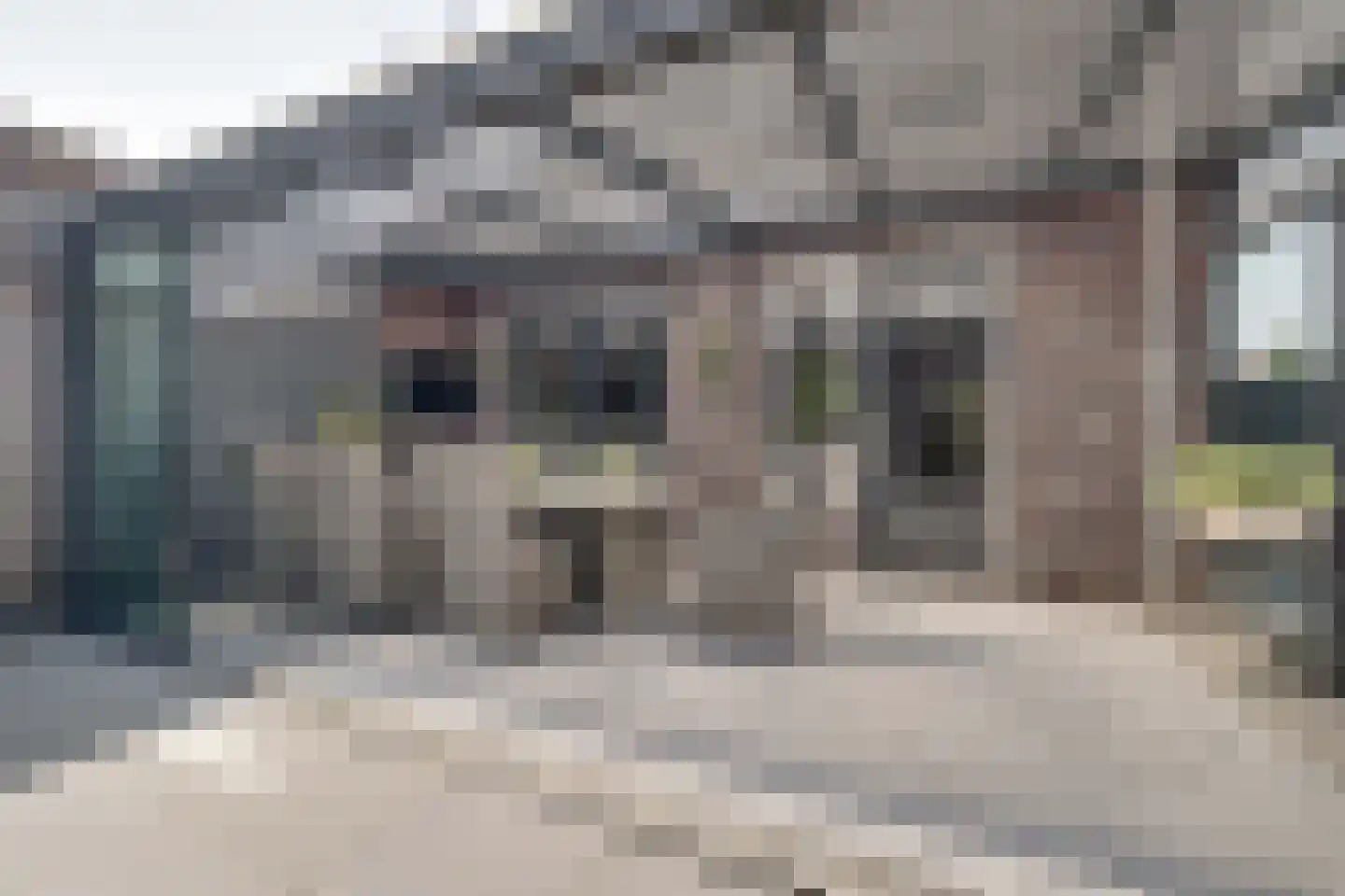 Korrelhoed 4 Apeldoorn thumbnail 37