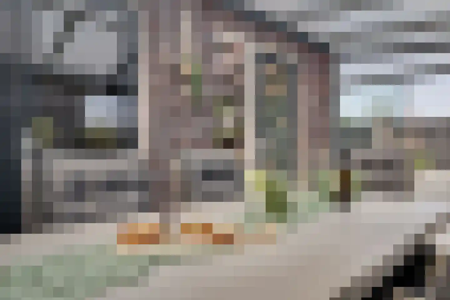 Korrelhoed 4 Apeldoorn thumbnail 38