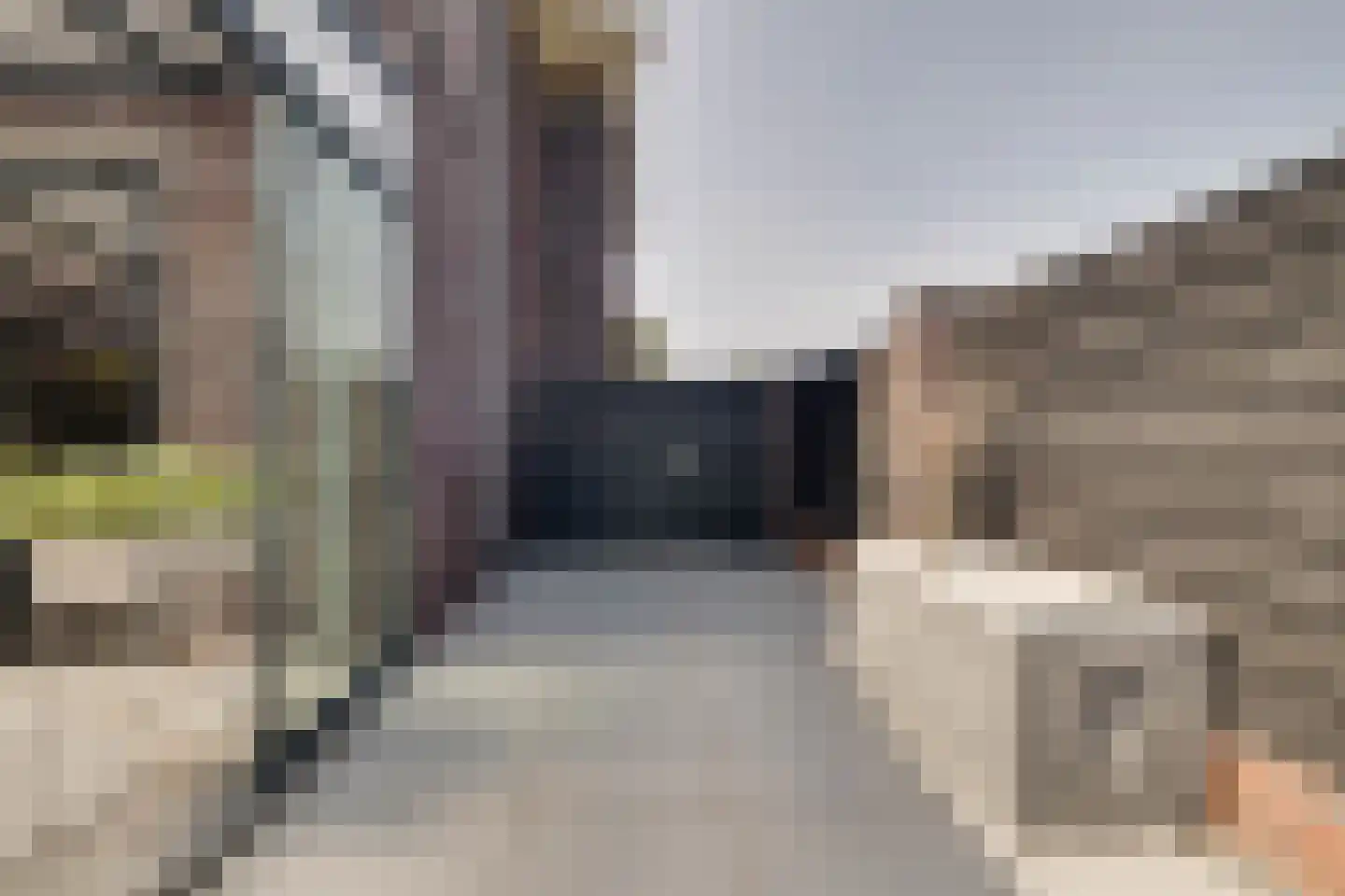 Korrelhoed 4 Apeldoorn thumbnail 45