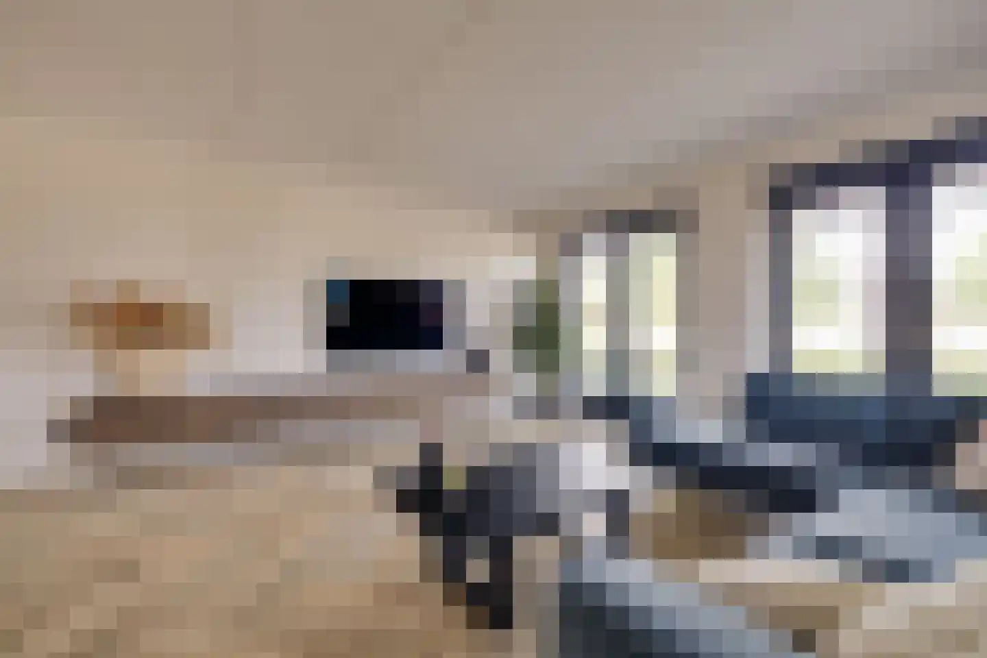 Korrelhoed 4 Apeldoorn thumbnail 6