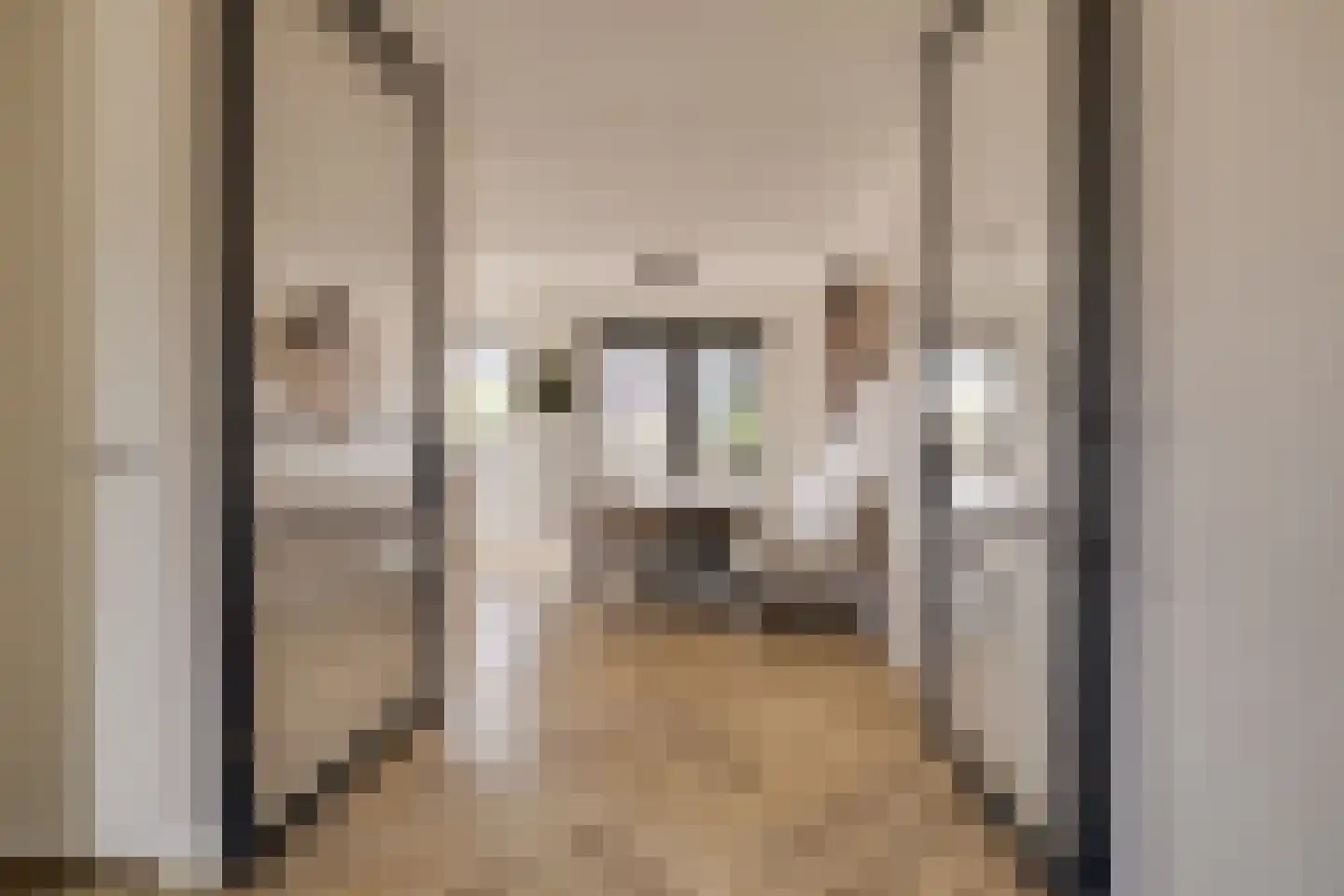 Korrelhoed 4 Apeldoorn thumbnail 8