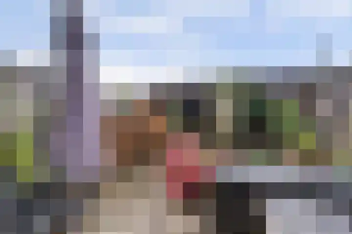 Korrelhoed 54 Apeldoorn thumbnail 26