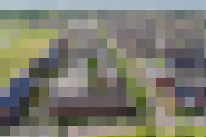 Korrelhoed 54 Apeldoorn thumbnail 28