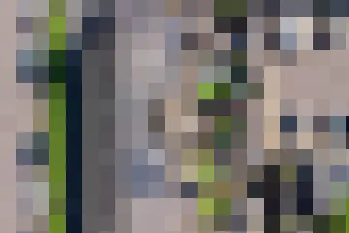 Korrelhoed 54 Apeldoorn thumbnail 4
