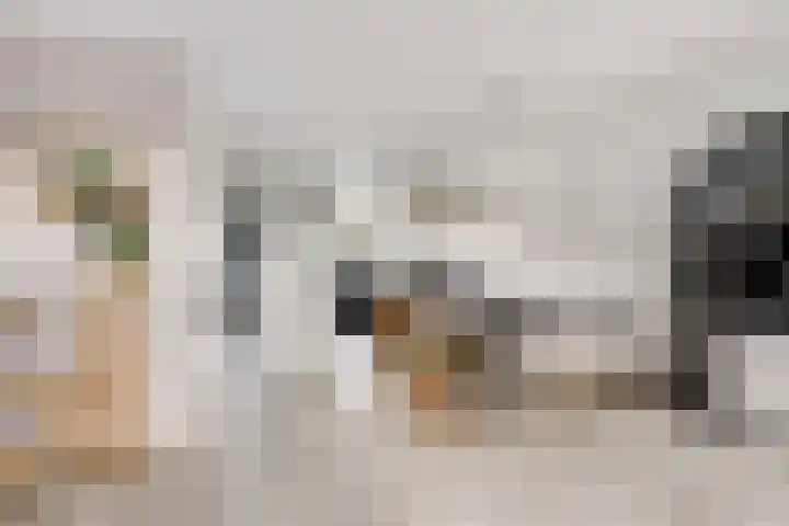 Korrelhoed 54 Apeldoorn thumbnail 8