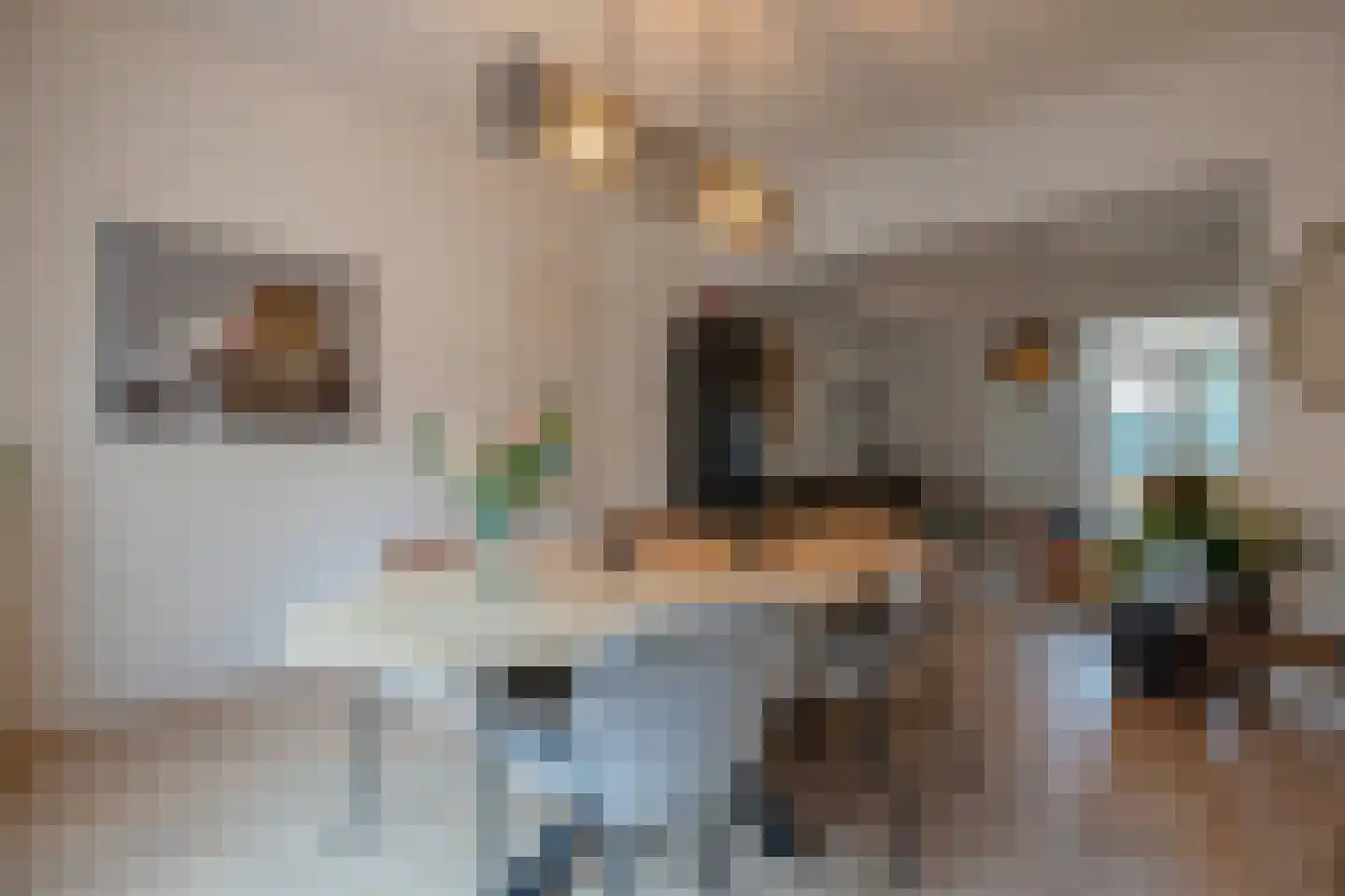 Korreweg 107 Groningen thumbnail 18