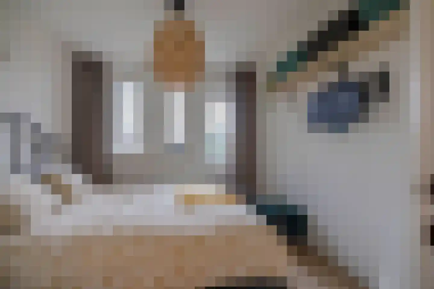Korreweg 107 Groningen thumbnail 27