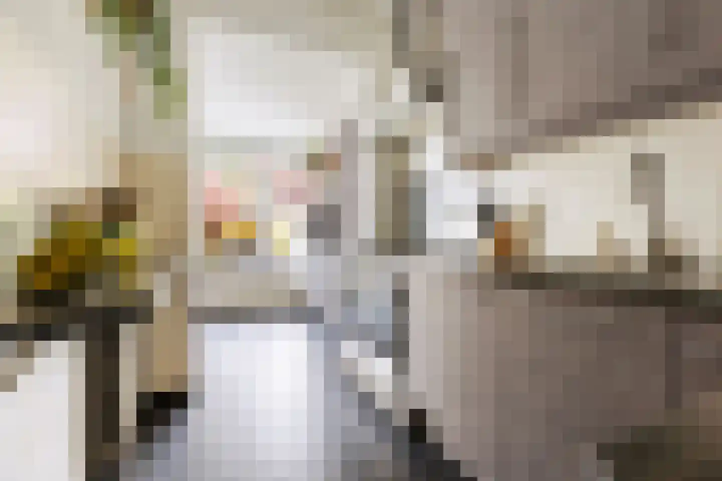 Korreweg 175 Groningen thumbnail 15