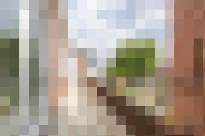Korreweg 177 b Groningen thumbnail 31