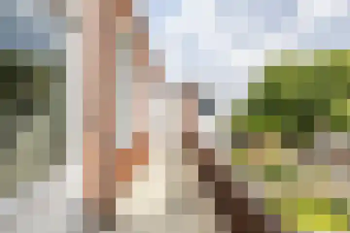 Korreweg 177 b Groningen thumbnail 4