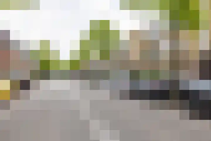 Korreweg 177 b Groningen thumbnail 49