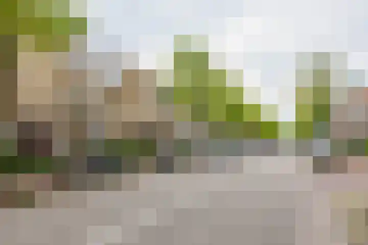 Korreweg 177 b Groningen thumbnail 6
