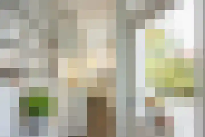 Korreweg 179 Groningen thumbnail 20