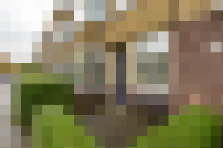 Korreweg 179 Groningen thumbnail 4