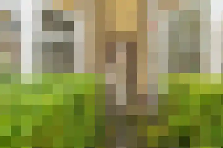Korreweg 179 Groningen thumbnail 48