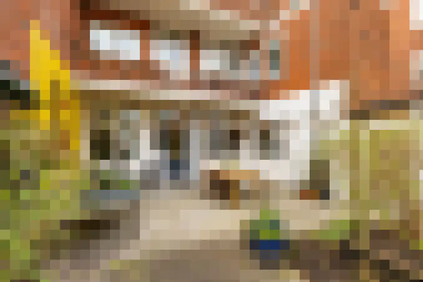 Korreweg 192 Groningen thumbnail 20