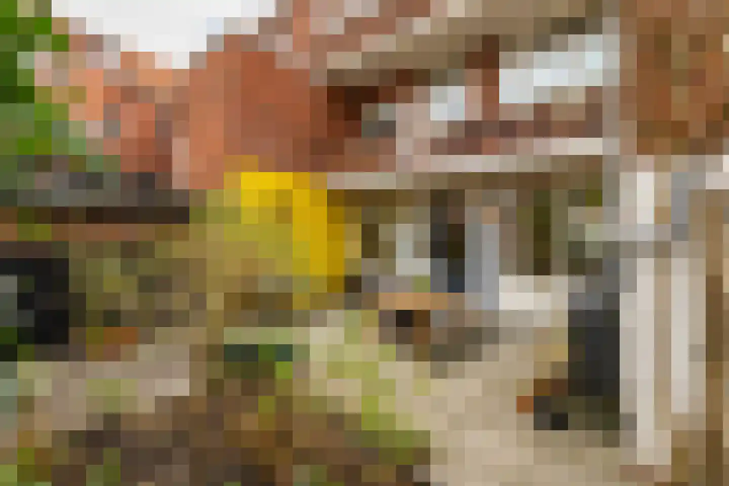 Korreweg 192 Groningen thumbnail 21