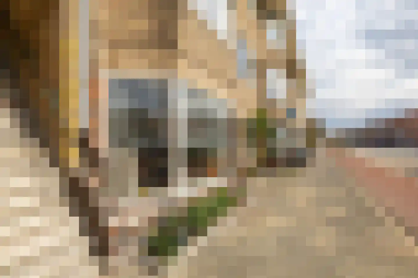Korreweg 192 Groningen thumbnail 34