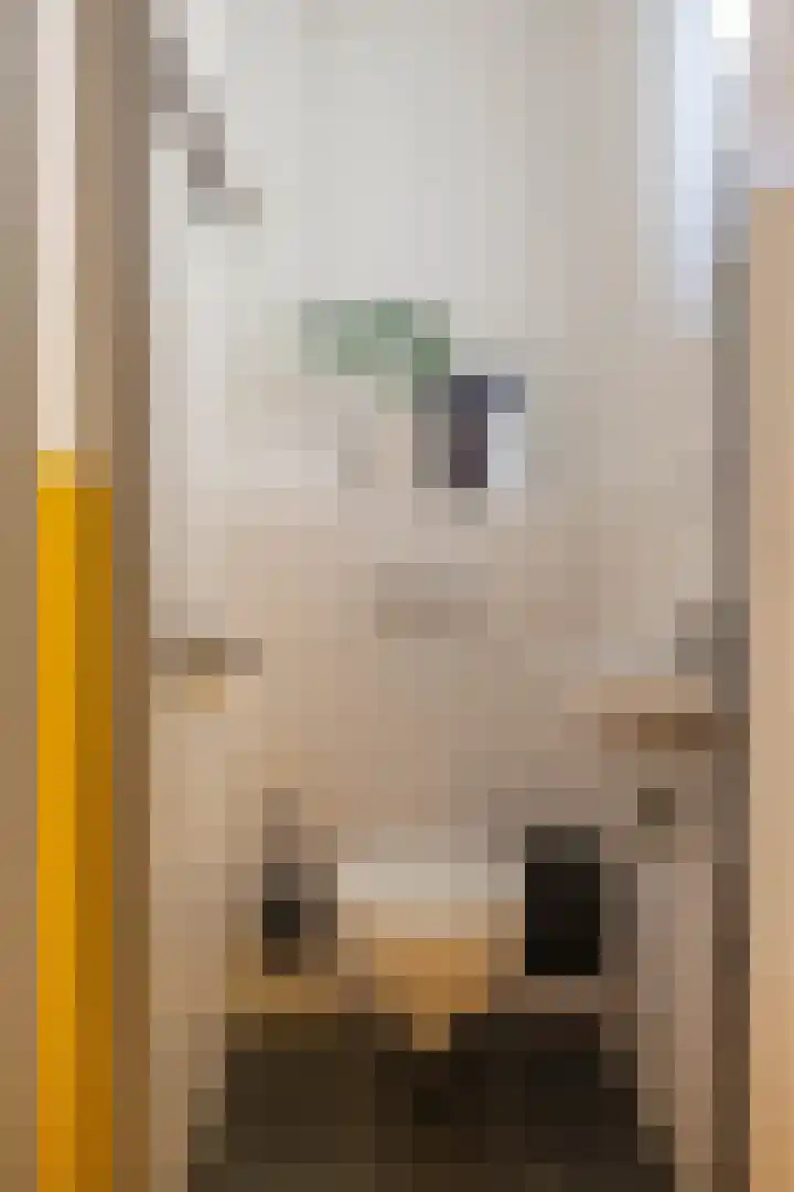 Korreweg 207 Groningen thumbnail 35