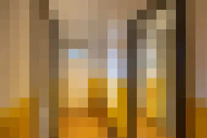 Korreweg 207 Groningen thumbnail 36