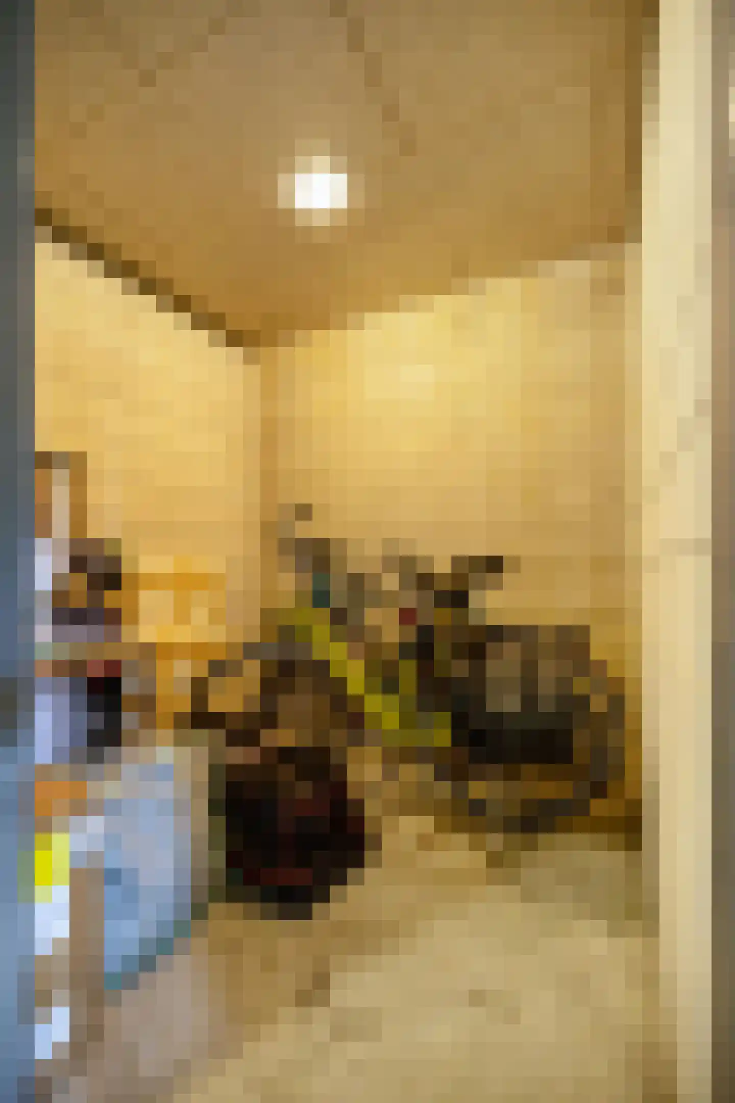 Korreweg 211 13 Groningen thumbnail 32