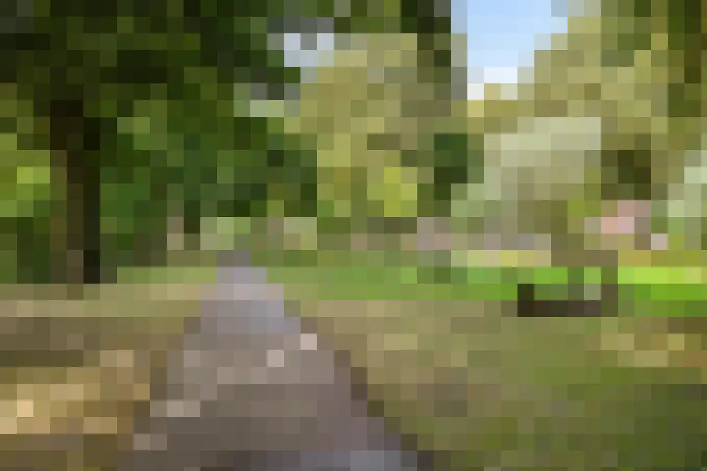 Korreweg 211 13 Groningen thumbnail 43