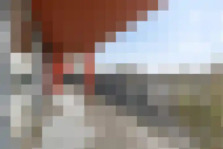 Korreweg 211 33 Groningen thumbnail 16
