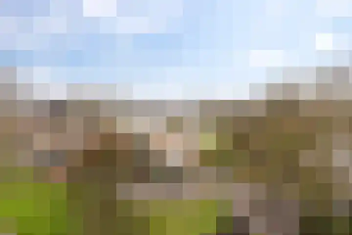 Korreweg 211 33 Groningen thumbnail 17