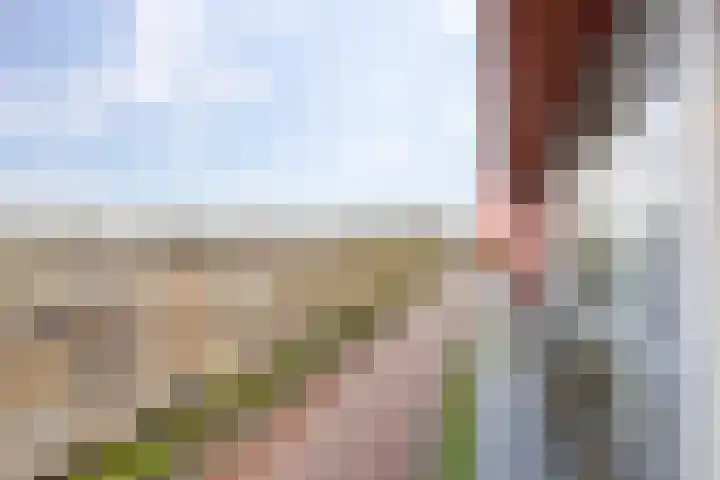 Korreweg 211 33 Groningen thumbnail 28
