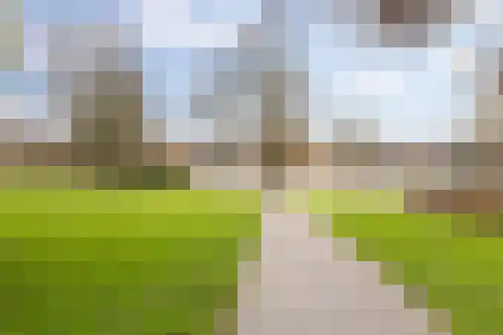 Korreweg 211 33 Groningen thumbnail 33