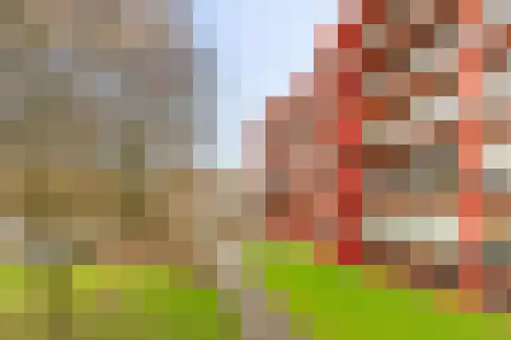 Korreweg 211 33 Groningen thumbnail 34