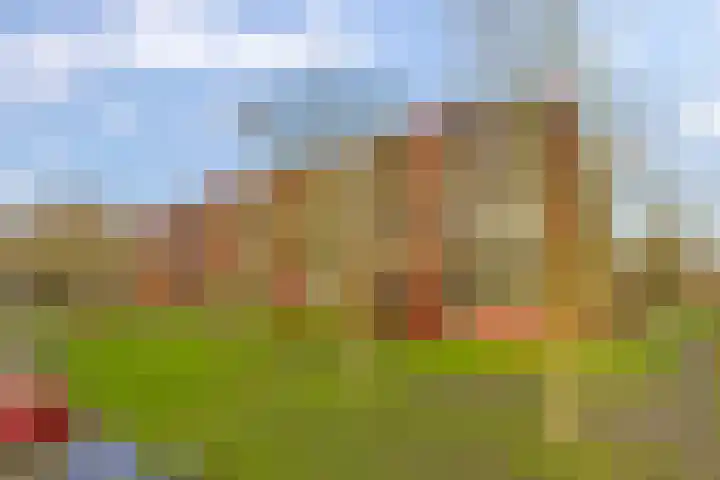 Korreweg 211 33 Groningen thumbnail 36