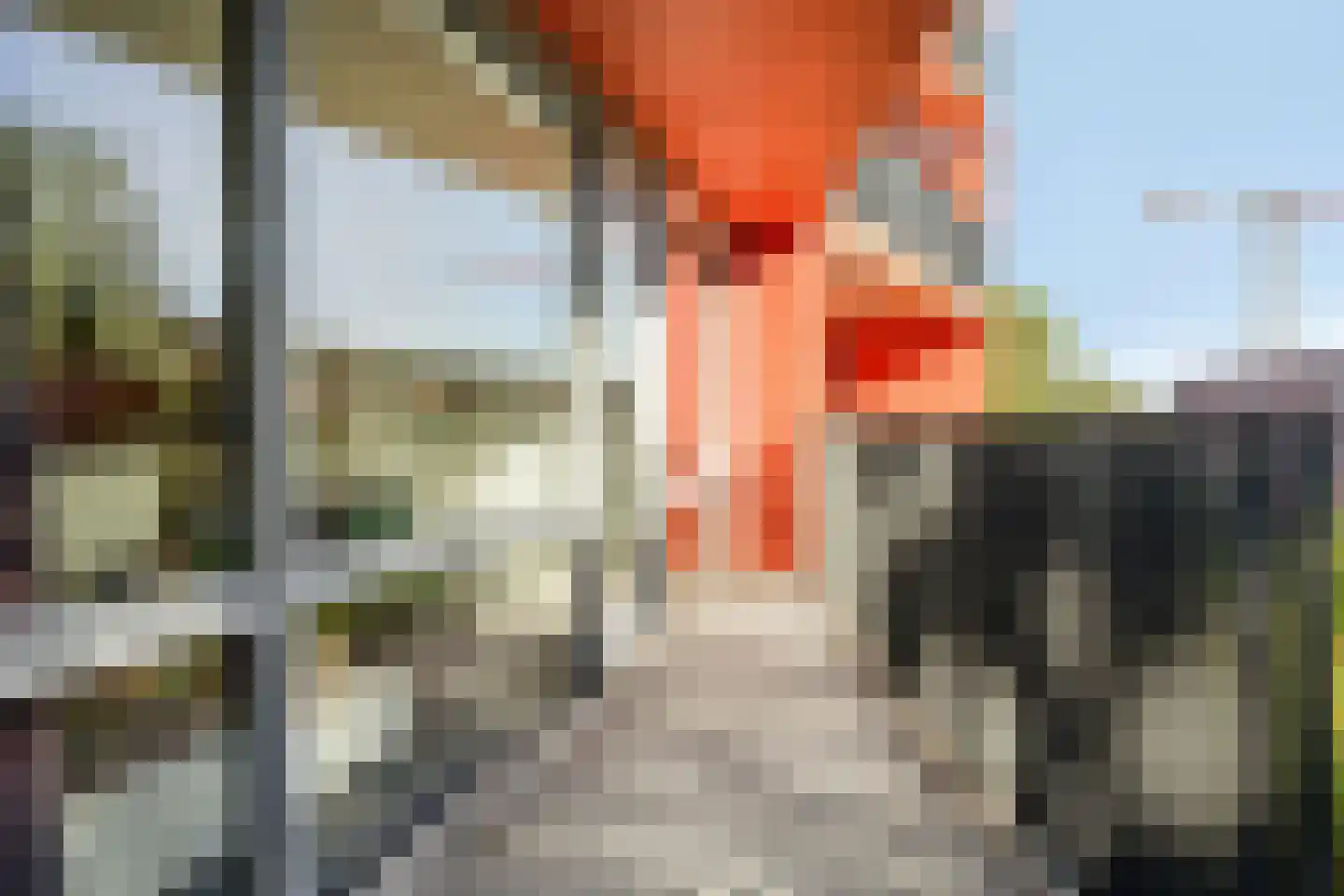 Korreweg 211 8 Groningen thumbnail 19