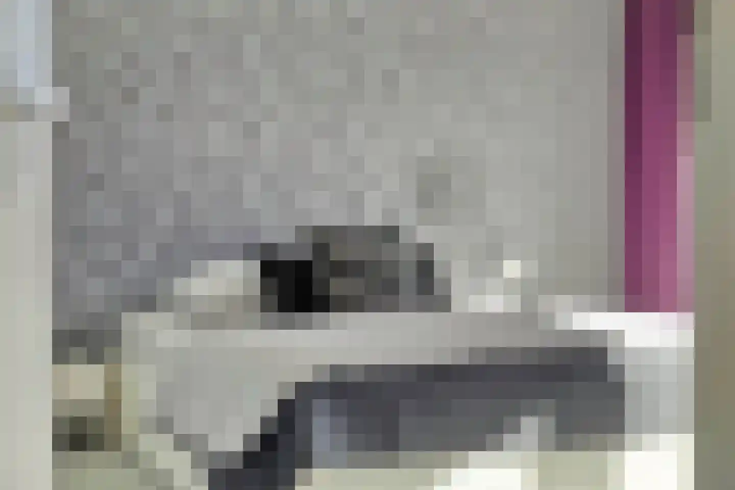 Korreweg 211 8 Groningen thumbnail 22