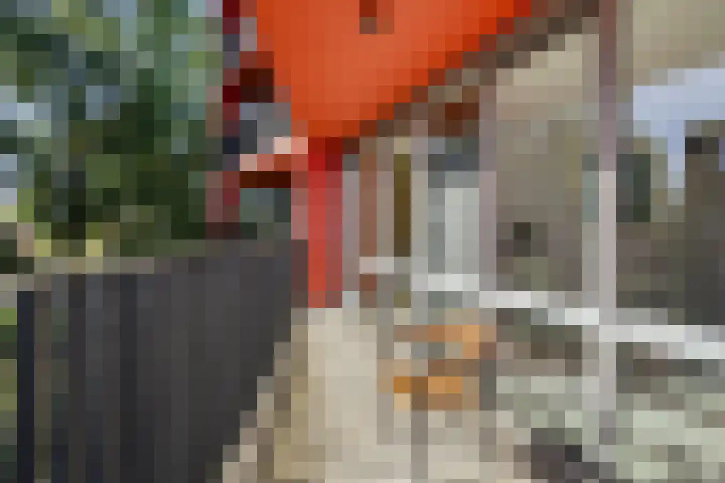 Korreweg 211 8 Groningen thumbnail 24