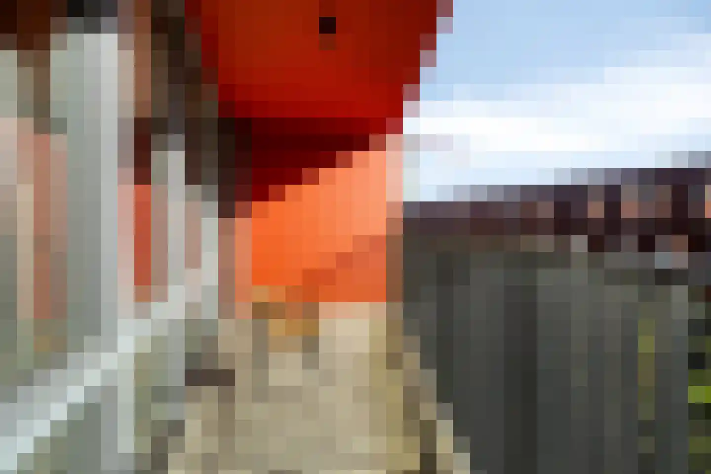 Korreweg 211 8 Groningen thumbnail 25