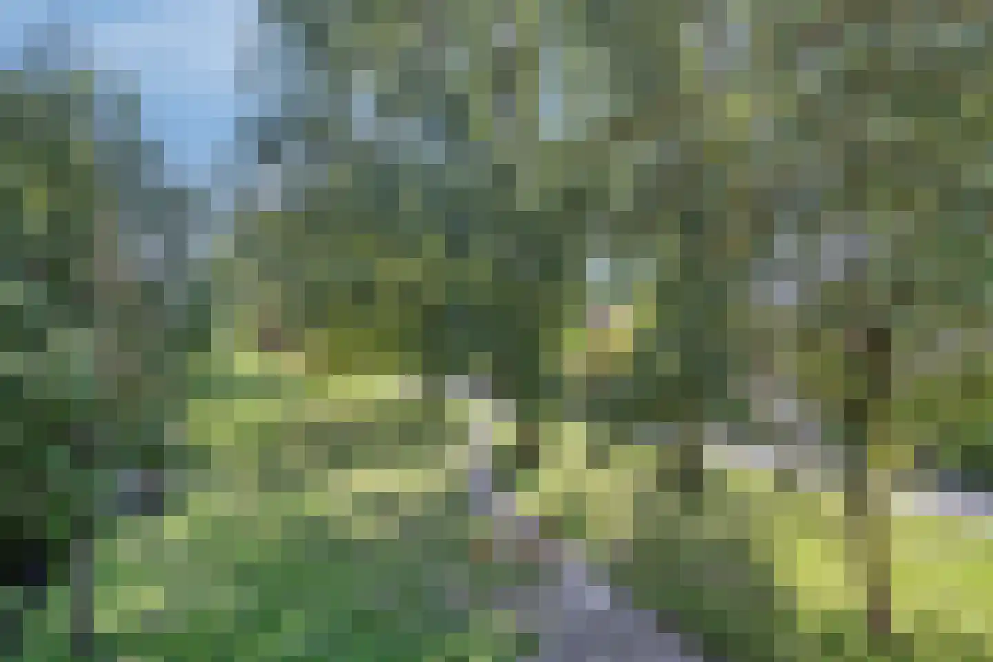 Korreweg 211 8 Groningen thumbnail 53