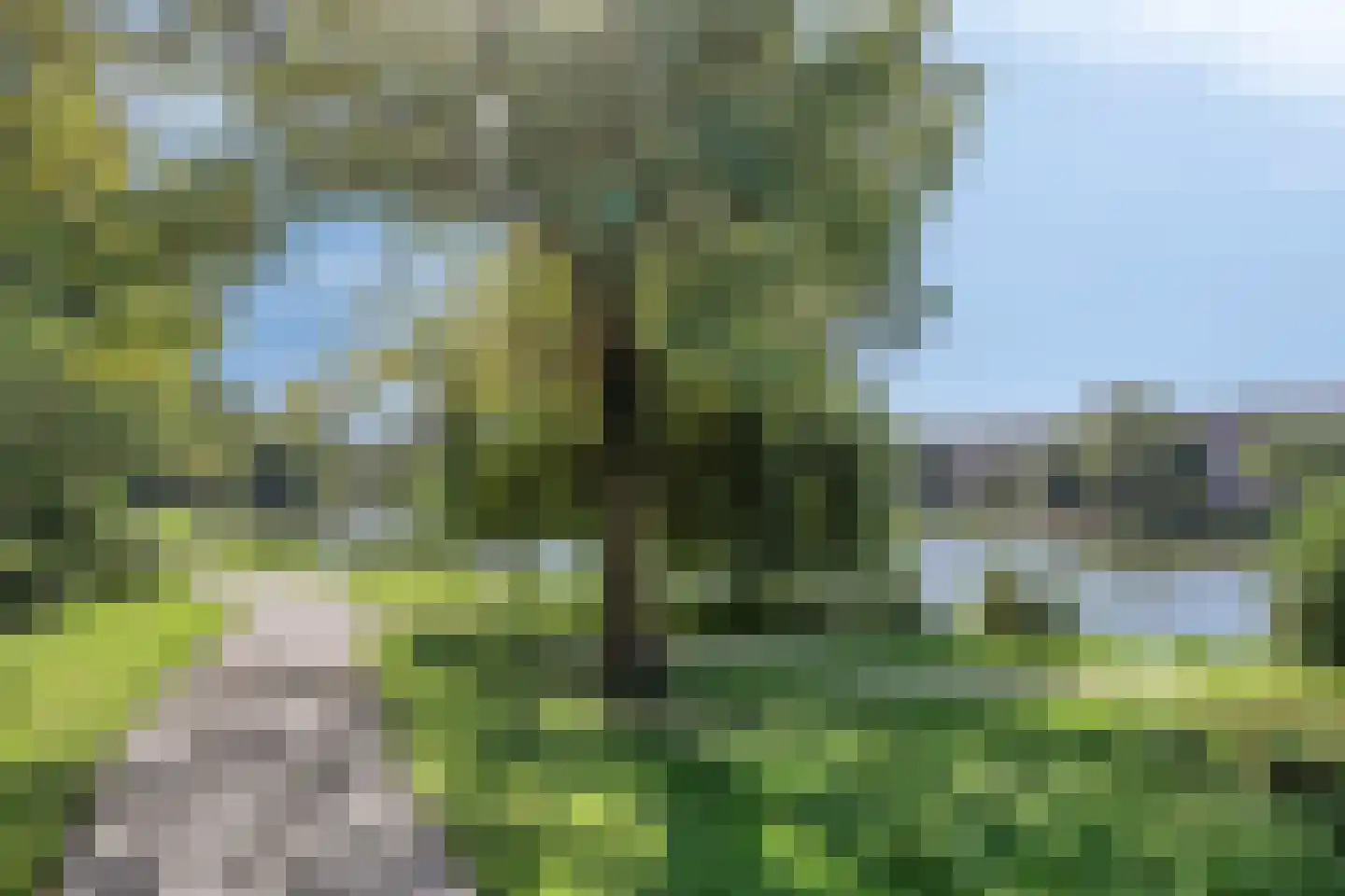 Korreweg 211 8 Groningen thumbnail 56