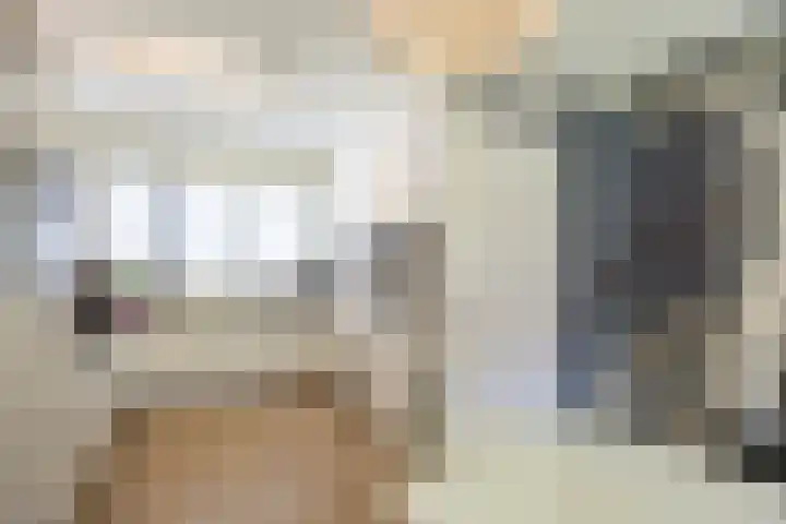 Korreweg 213 53 Groningen thumbnail 14