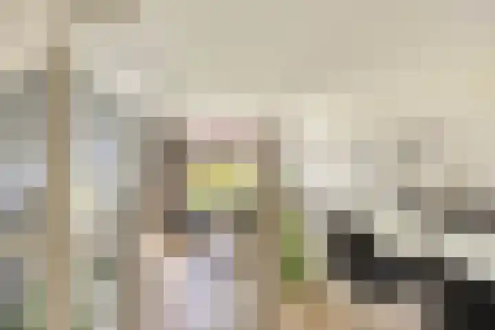 Korreweg 213 53 Groningen thumbnail 15