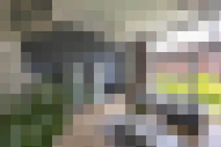 Korreweg 213 53 Groningen thumbnail 16